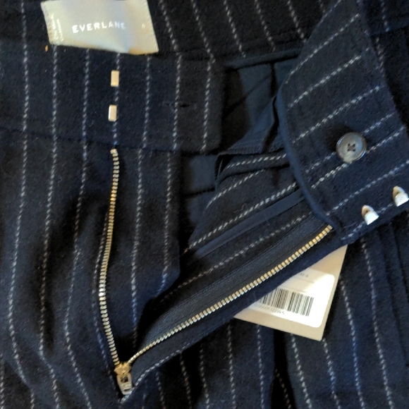 EVERLANE The ReWool® Way-High Drape Pinstripe Pant - Picture 5 of 13